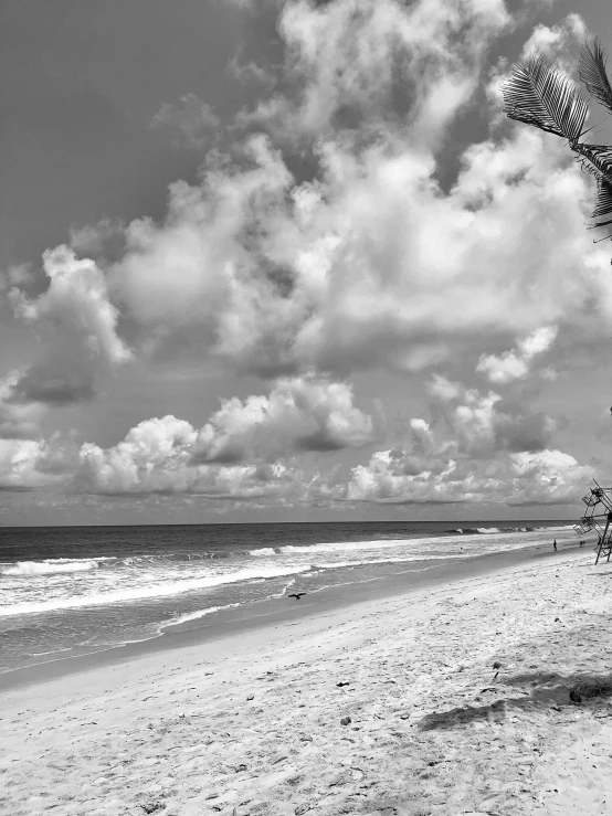 black and white po of a ze themed kite on a beach