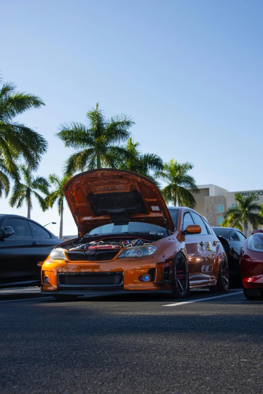 four cars lined up in a parking lot on a sunny day