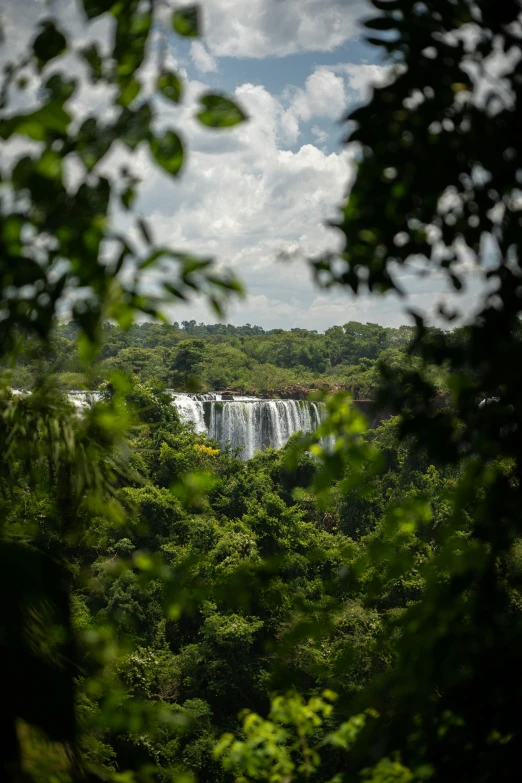 view of waterfall through some bushes and trees