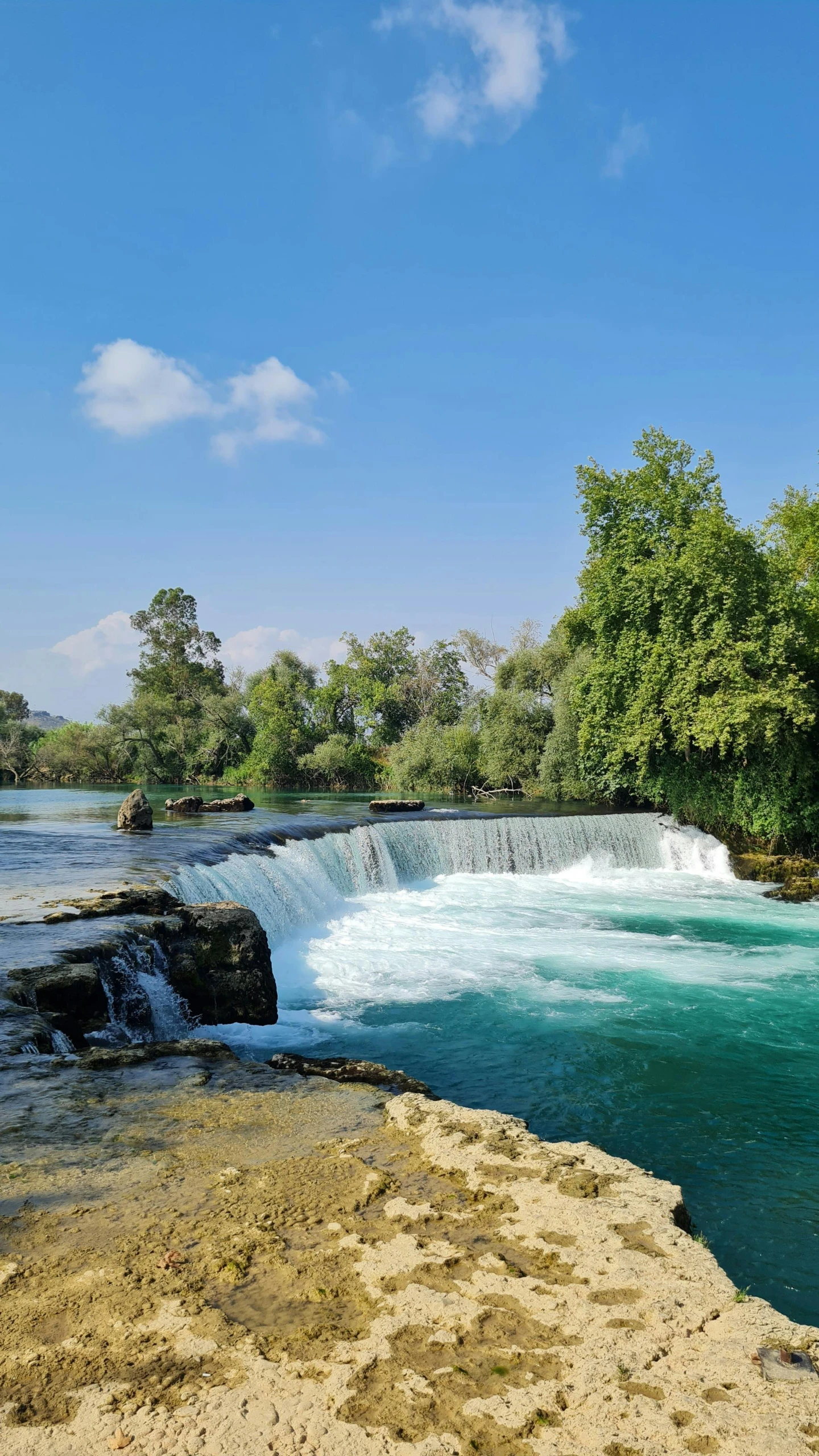 there is a waterfall with green water near the trees