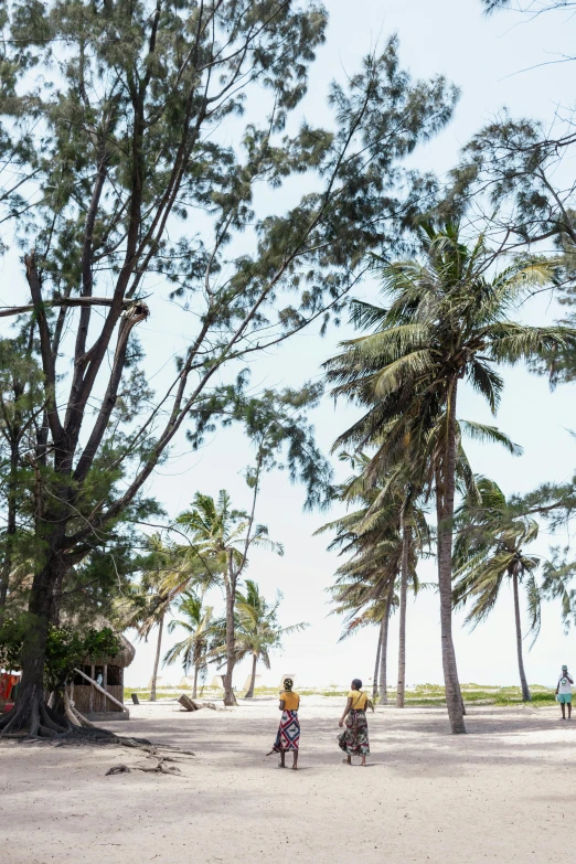 two people on motorcycles on the sand under palm trees