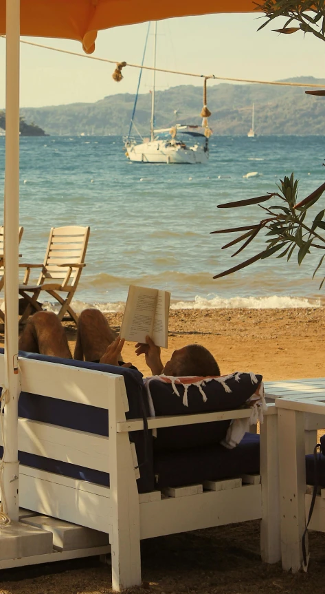 some dog are sitting on an outdoor chair reading a book