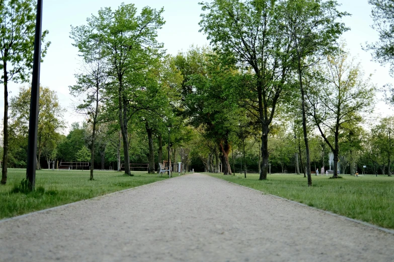 there is a long road through the park