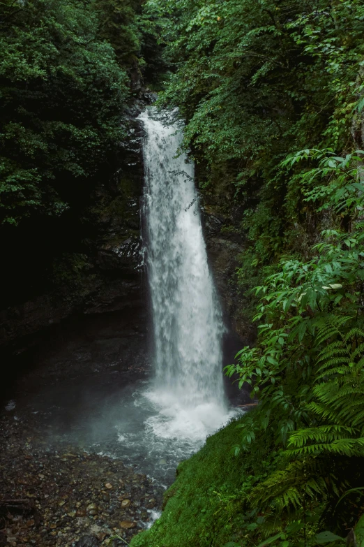 a large waterfall flowing through lush green forest