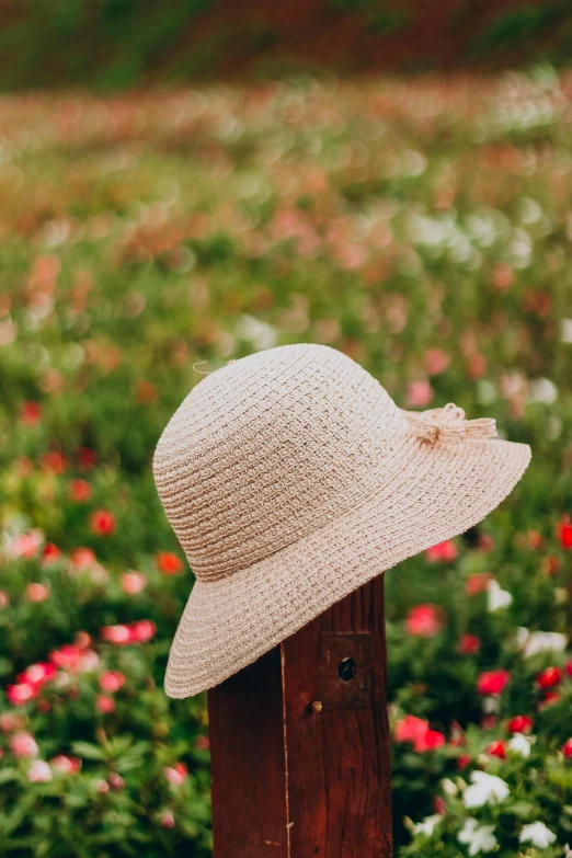 a white hat is sitting on a wooden fence