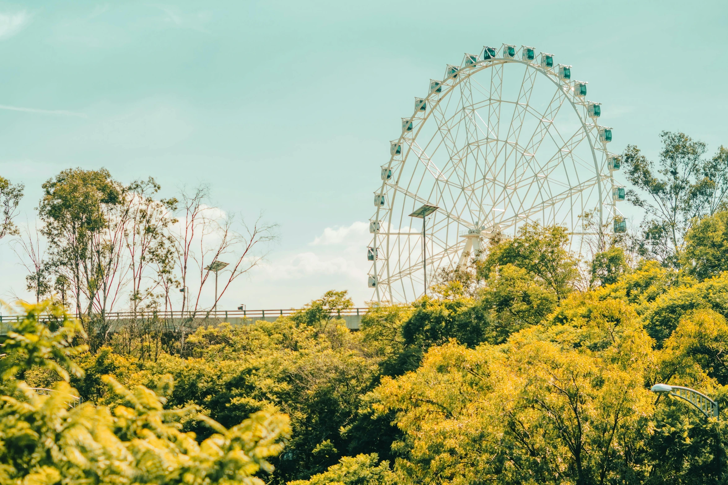 several people ride an amut park's ferris wheel