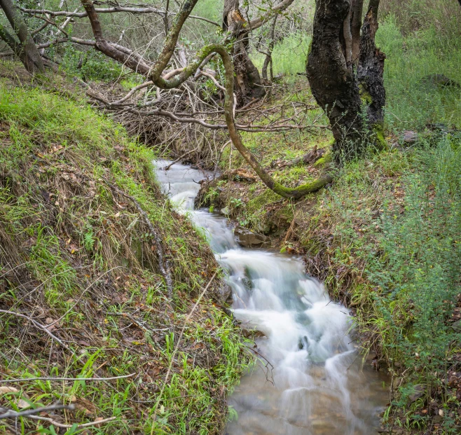 a stream runs between grassy cliffs to a grassy bank
