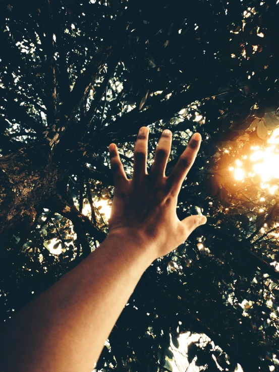 a hand reaching upward into the sky with a sunbeam behind