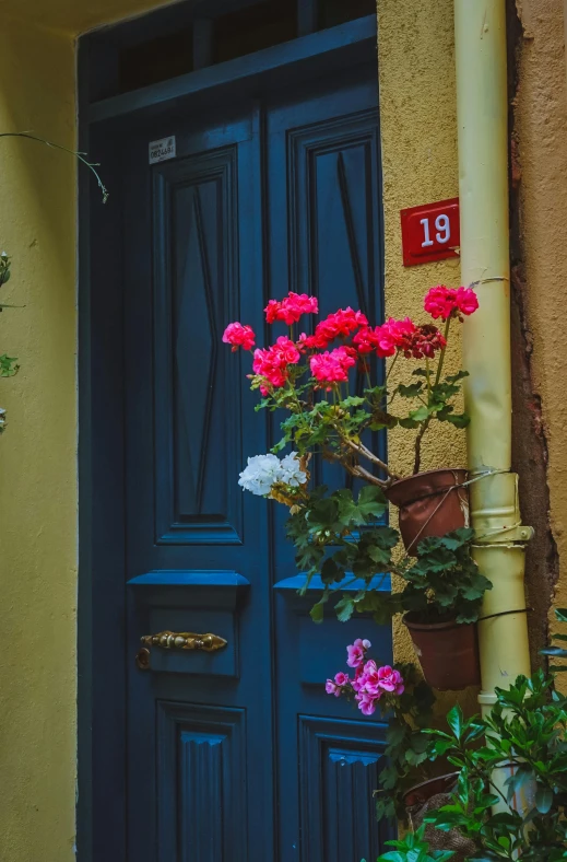 a doorway with a blue front door with pink and white flowers on it