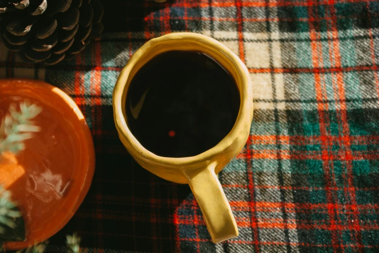 an orange plate and a cup sit on a plaid blanket