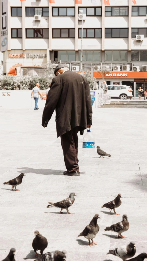 a man walking among the pigeons in the city