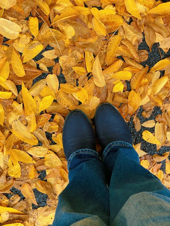 a person stands in the middle of some leaves