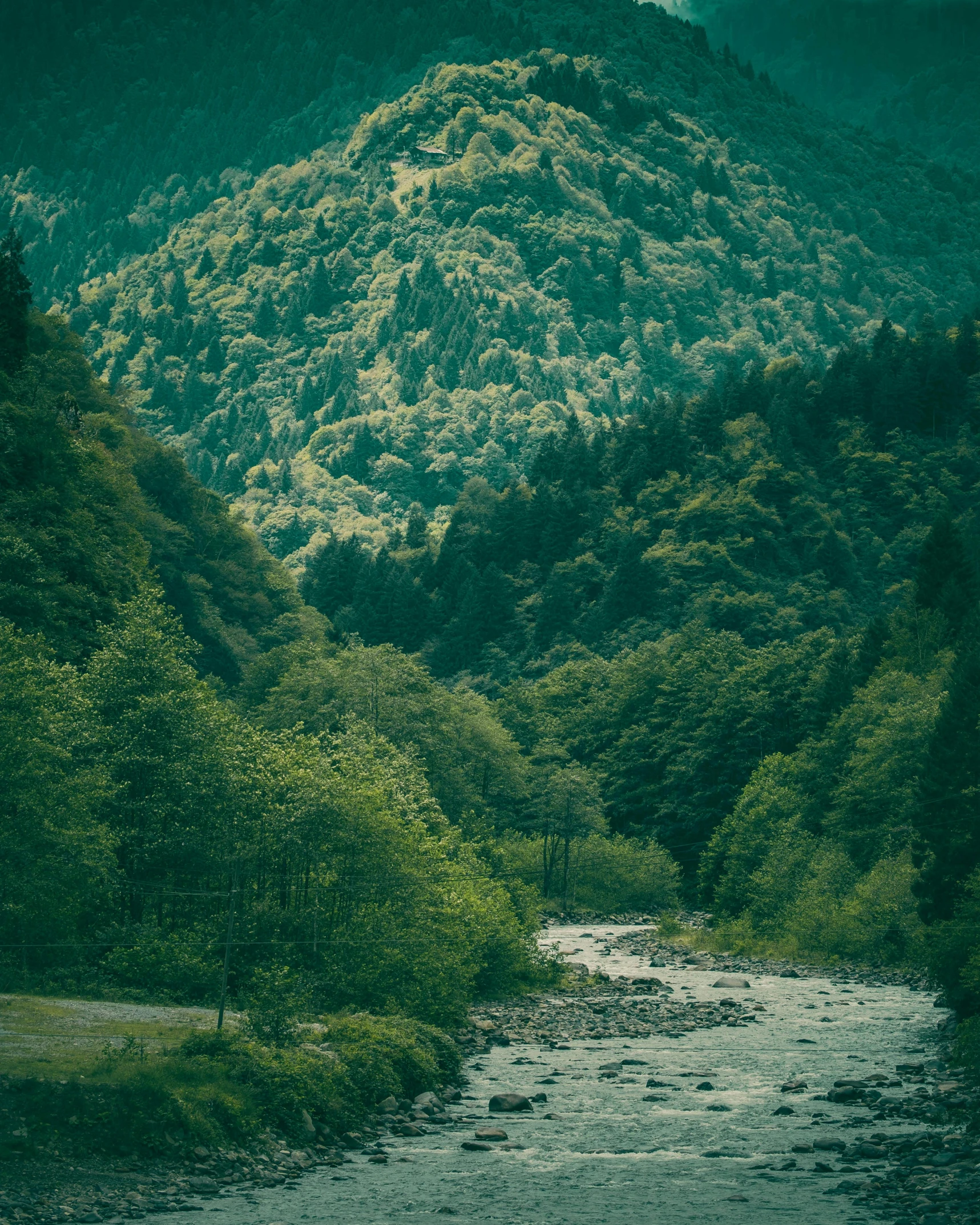 a river flowing between two mountains covered with trees