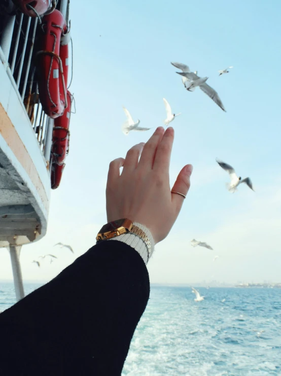 a woman reaches out her hands at seagulls