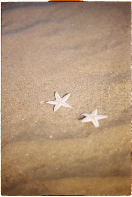 two white stars on sand at the beach