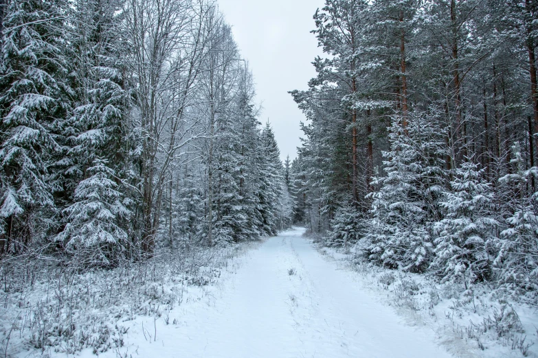 a road that is covered in snow in front of some trees