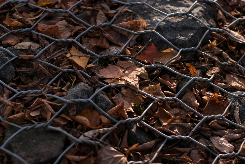 the surface of a fence that has rocks and leaves on it