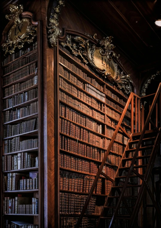 there is a large number of books in the room