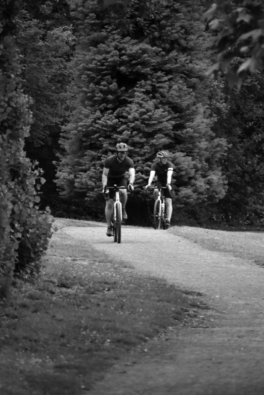 two people riding bicycles down a wooded road