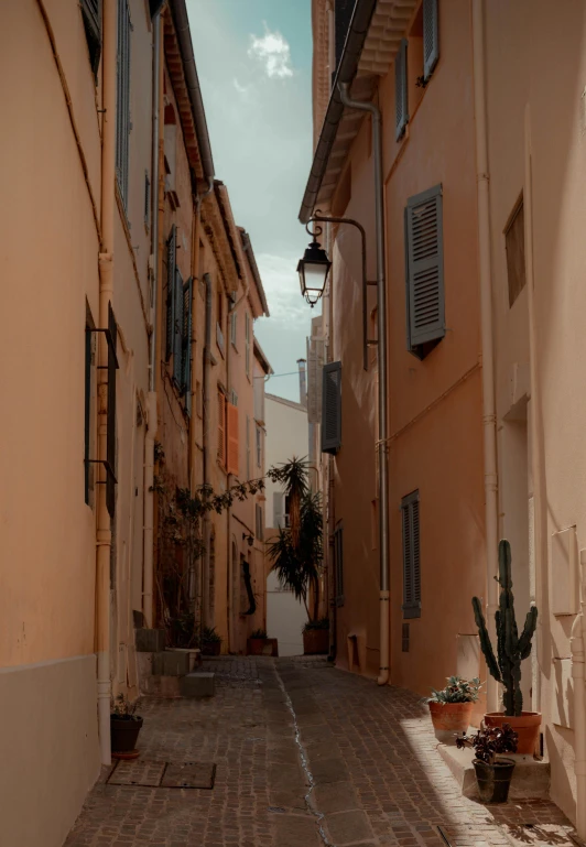 a street with many different buildings and cactus plants