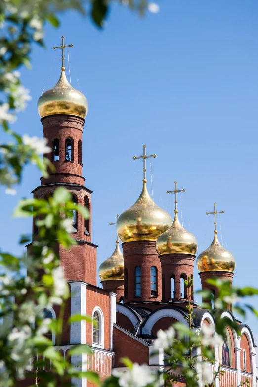 large, ornate buildings have gold tops on them