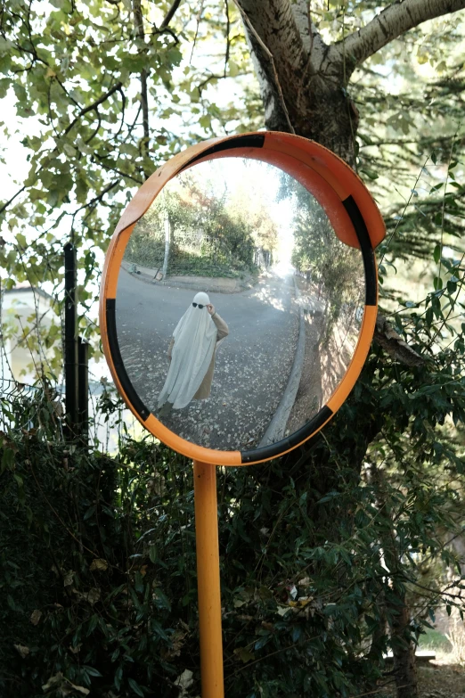 a bird is reflected in a circular mirror