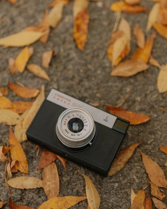 an old fashion po camera sitting on a stone ground