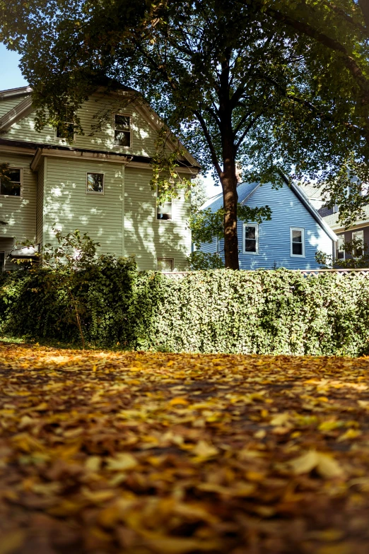 a house that has a tree in front