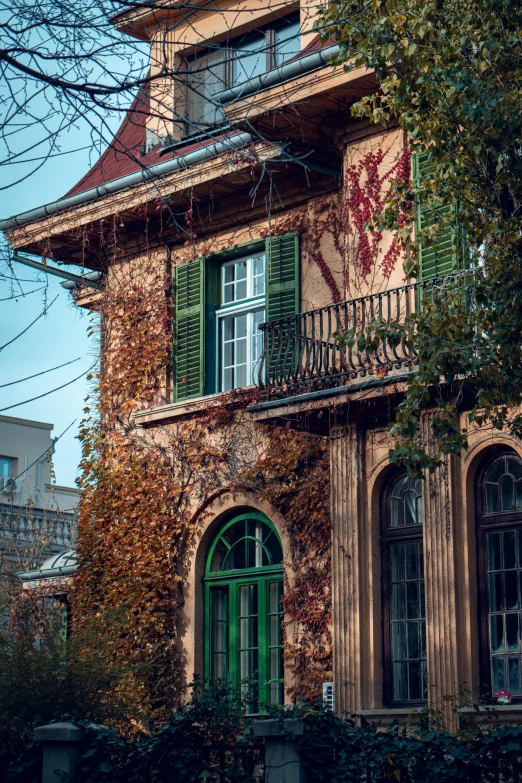 a old building that is covered with vines and ivy