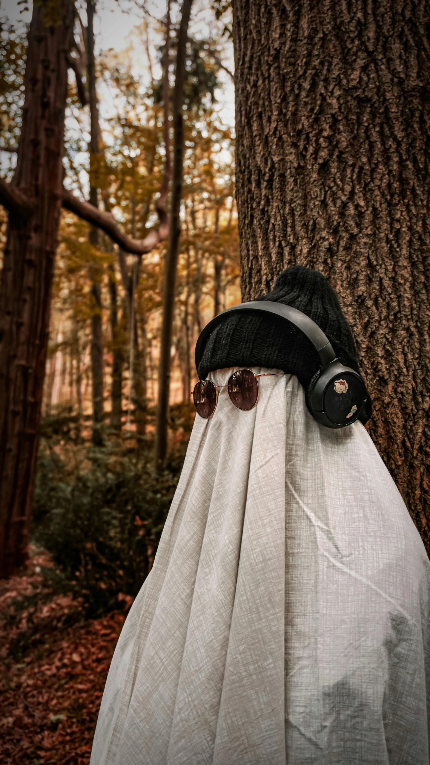 an old fashioned black and white headgear attached to a tree