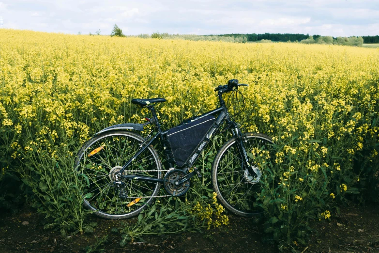 a bicycle is  to a post standing in a field