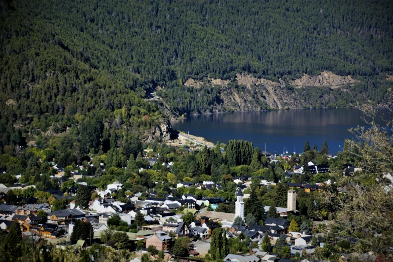 an aerial view of a lake with houses and land in the foreground