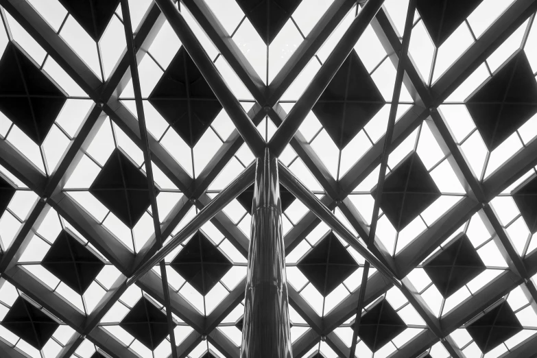 black and white po of an intricate ceiling