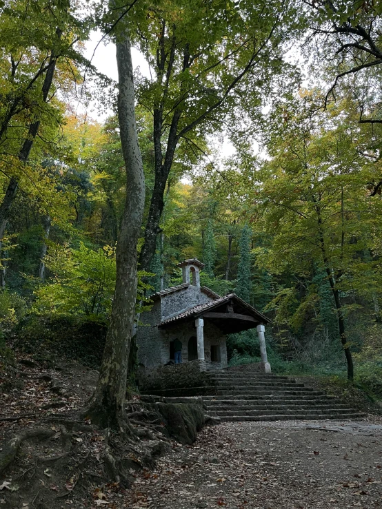 there is a house that sits in the woods