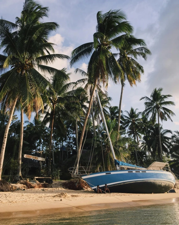 a boat is tied up near many palm trees