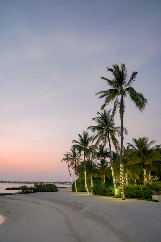 the sun sets on a deserted beach with palm trees