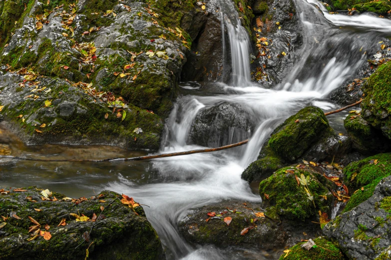 a stream flowing down to a moss covered hillside