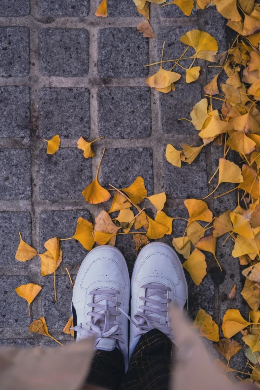 a person stands on a brick walkway with leaves surrounding it