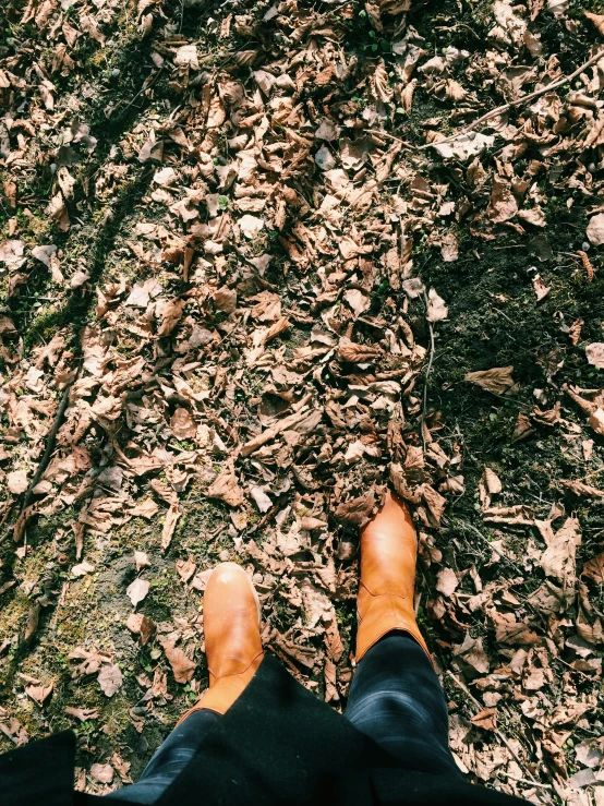 legs in black pants on brown and green leaves