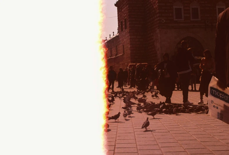 a person is on the street feeding birds