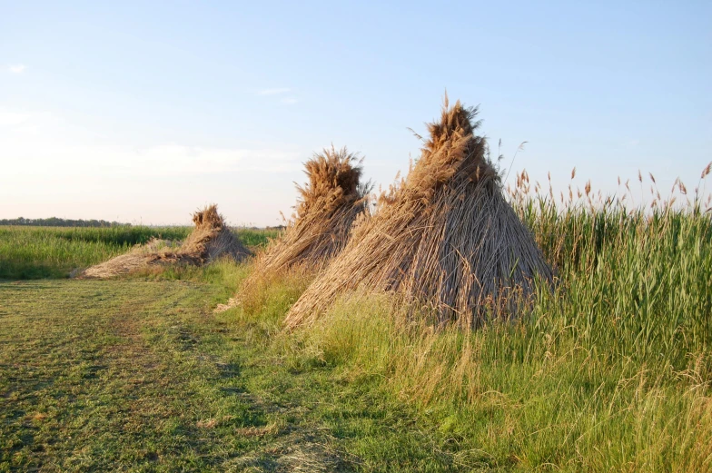 the two hay stacks are tall and full of grass