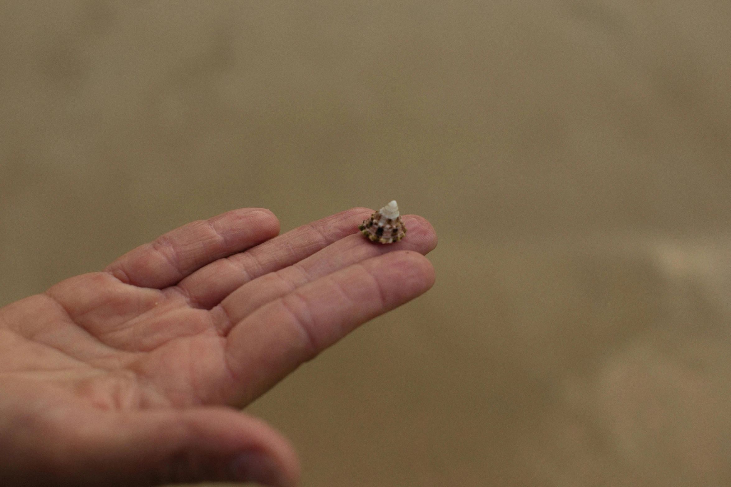 a person holding an object in their hand