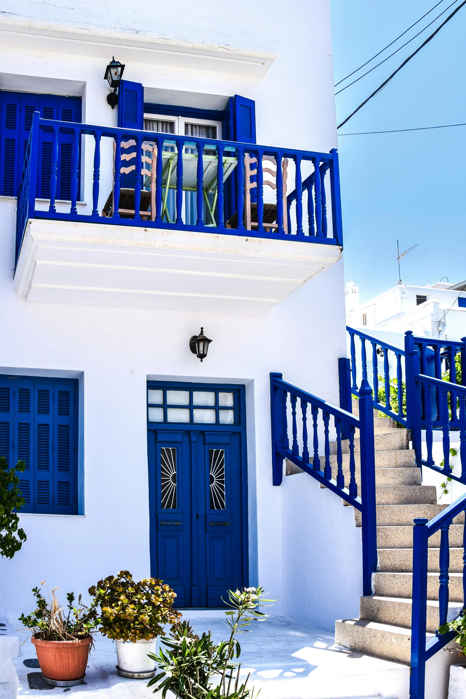 some blue and white doors stairs plants and plants