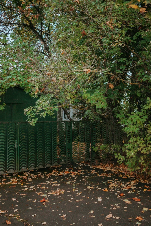 an empty bench sitting by a fence and trees