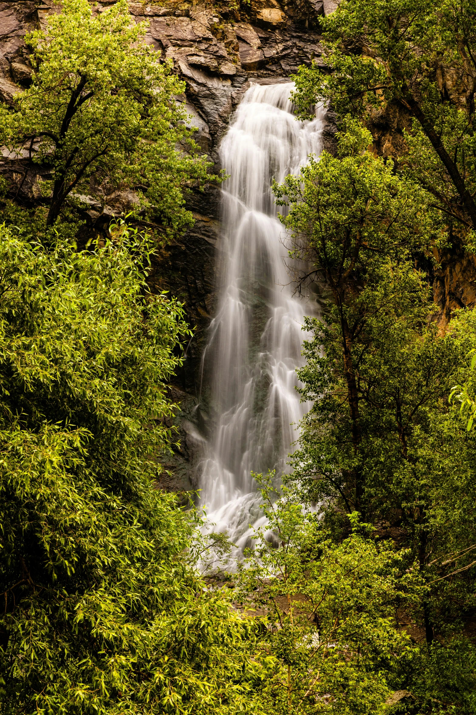 water fall between some tall green trees