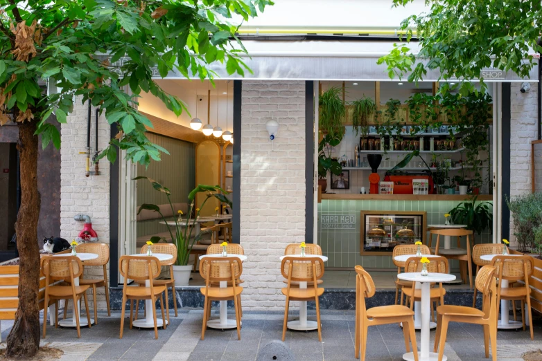 a restaurant with many wooden chairs and tables with a brick wall