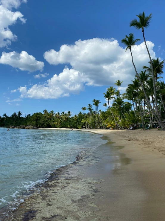 a blue ocean with palm trees and the ocean in front