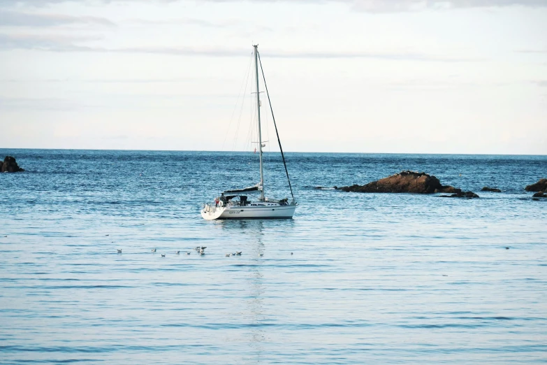 a white sailboat floating out on the water