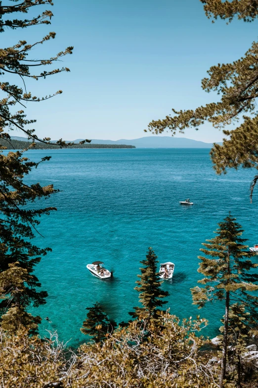 a couple boats are in the water and some trees