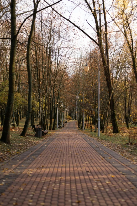 a brick sidewalk next to a tree filled park